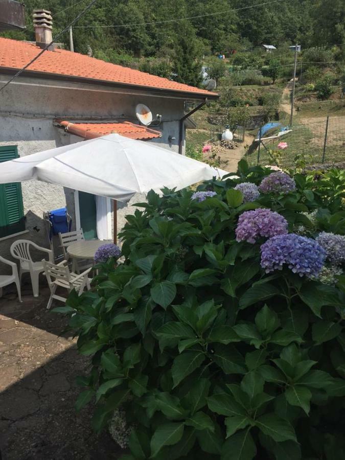 Ortensia Holiday home
